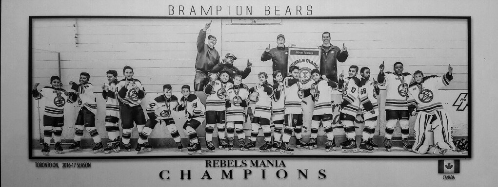 Bears_Champs.jpg